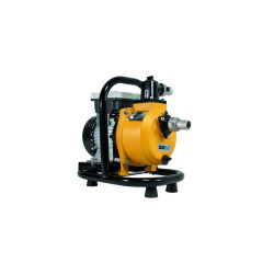 MEXXSUN DC Yüzey Pompa 1Hp 750W (SFP6-20-750W/72V)