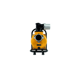 MEXXSUN DC Yüzey Pompa 2Hp 1500W (SFP29-13-1500W/110V)